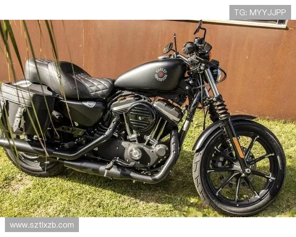 郑大世自曝欠债3亿多日元仍豪掷百万买摩托引发网友热议